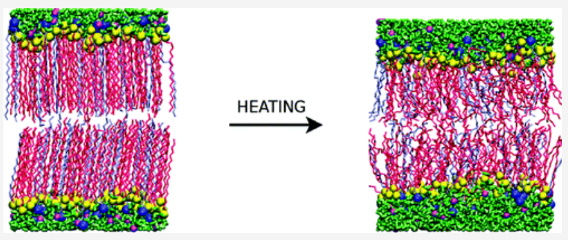 Monomer_aggregate