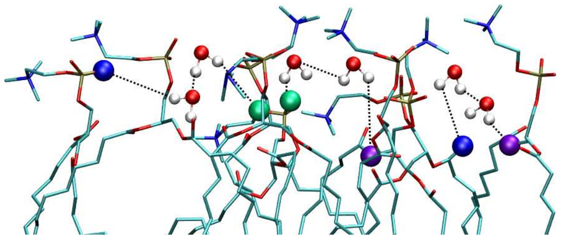 Monomer_aggregate