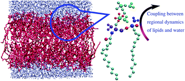 Monomer_aggregate