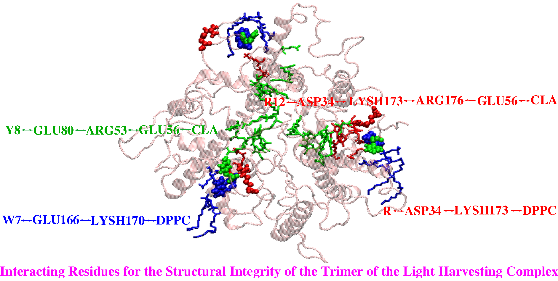 Monomer_aggregate