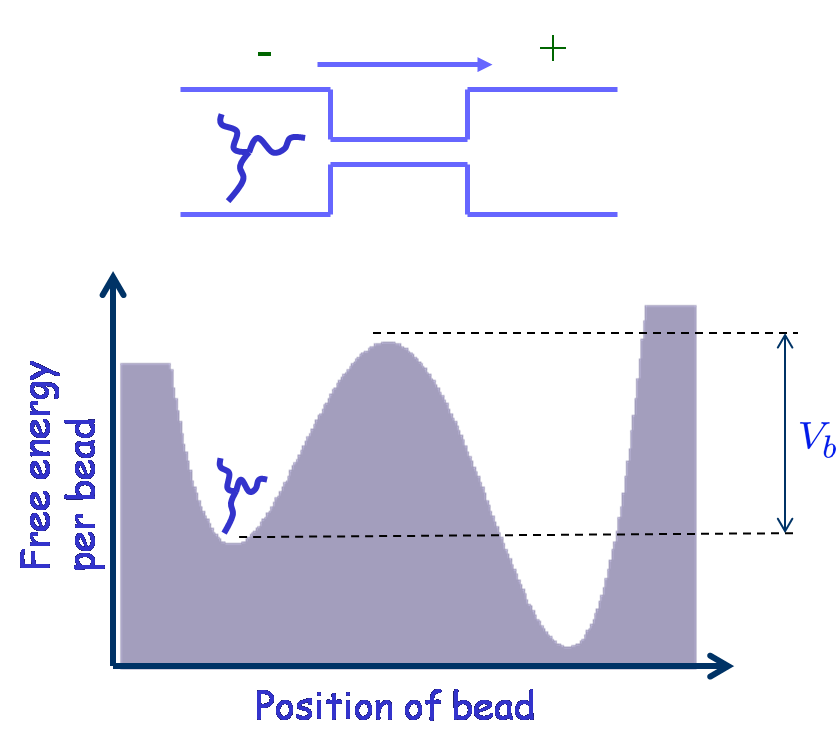 Monomer_aggregate