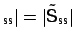 $ _{\mbox{\scriptsize ss}}\vert=\vert\tilde{\mbox{\sf {S}}}_{\mbox{\scriptsize ss}}\vert$