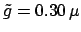 $ \tilde{g} = 0.30 \,\mu$