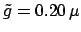 $ \tilde{g} = 0.20 \,\mu$