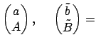 $\displaystyle \begin{pmatrix}a \\ A \end{pmatrix}, \hspace{0.5cm} \begin{pmatrix}\tilde{b} \\ \tilde{B} \end{pmatrix} =$