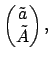 $\displaystyle \begin{pmatrix}\tilde{a} \\ \tilde{A} \end{pmatrix},$