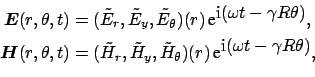 \begin{equation*}\begin{aligned}\boldsymbol {E}(r, \theta, t) & = (\tilde{E}_{r}...
...displaystyle \mbox{i}(\omega t - \gamma R \theta)}, \end{aligned}\end{equation*}