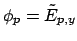 $ \phi_p = \tilde{E}_{p, y}$