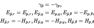 \begin{equation*}\begin{aligned}\gamma_{\tilde{p}} &= - \gamma_{p}, \\ E_{\tilde...
...y} &= -H_{p,y}, H_{\tilde{p},\theta} = H_{p,\theta} \end{aligned}\end{equation*}