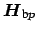 $ \boldsymbol {H}_{\mbox{\scriptsize b}p}$