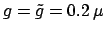 $ g=\tilde{g}= 0.2\,\mu$