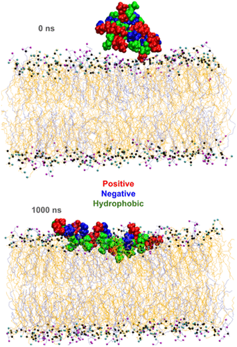 Monomer_aggregate