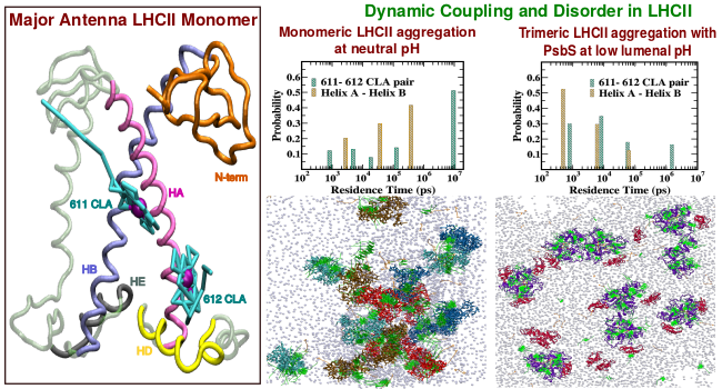 Monomer_aggregate