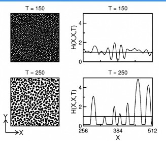 Dewetting simulation