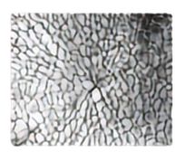 Water droplets – surface physics