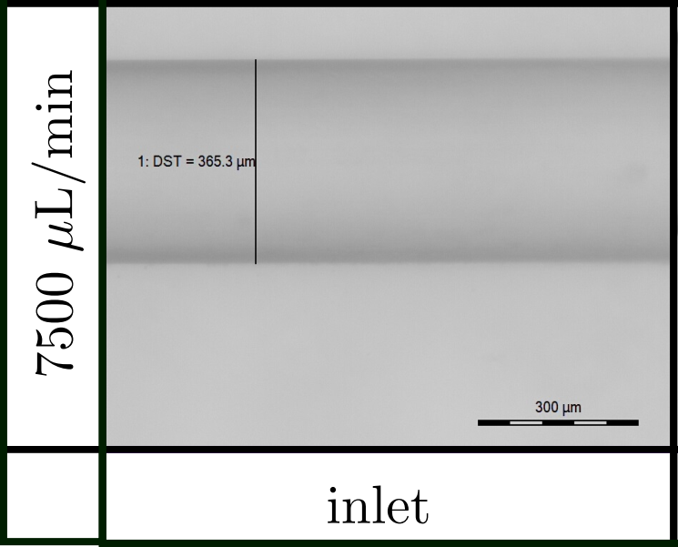 Experiments Example 2